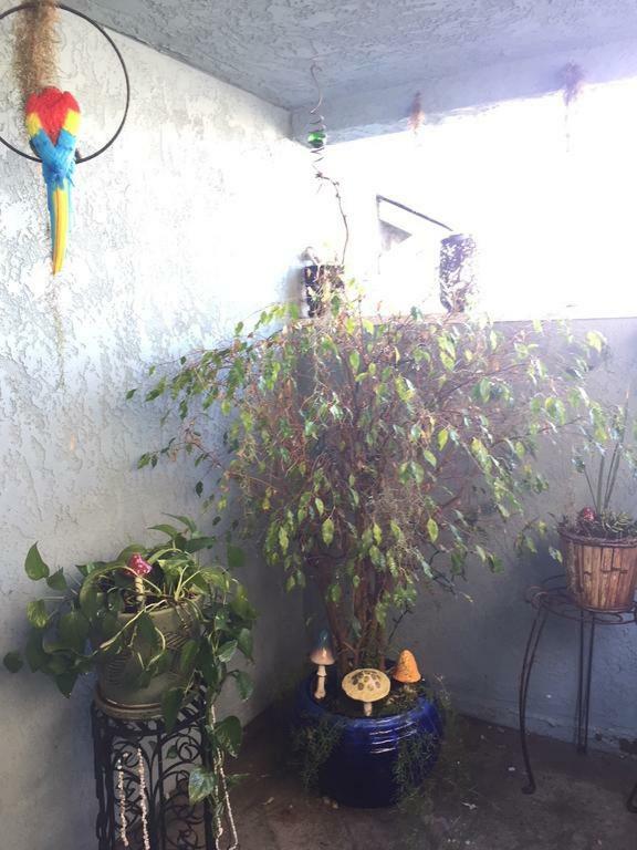 Pacific Beach Butterfly Suite San Diego Bagian luar foto