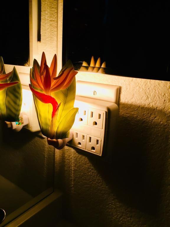 Pacific Beach Butterfly Suite San Diego Bagian luar foto